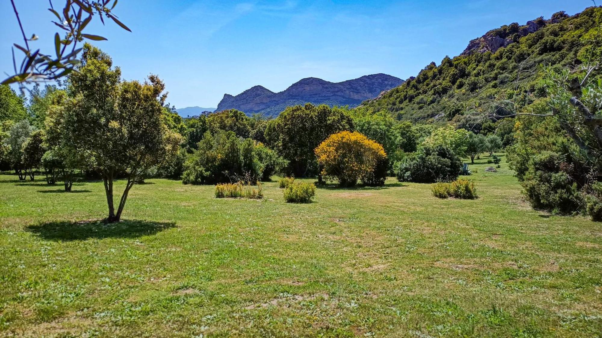 Villa Les Jardins De Foata Barbaggio Exterior foto