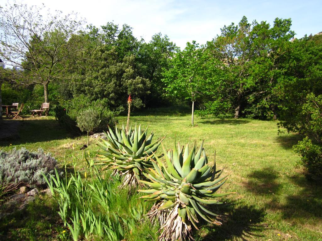 Villa Les Jardins De Foata Barbaggio Exterior foto